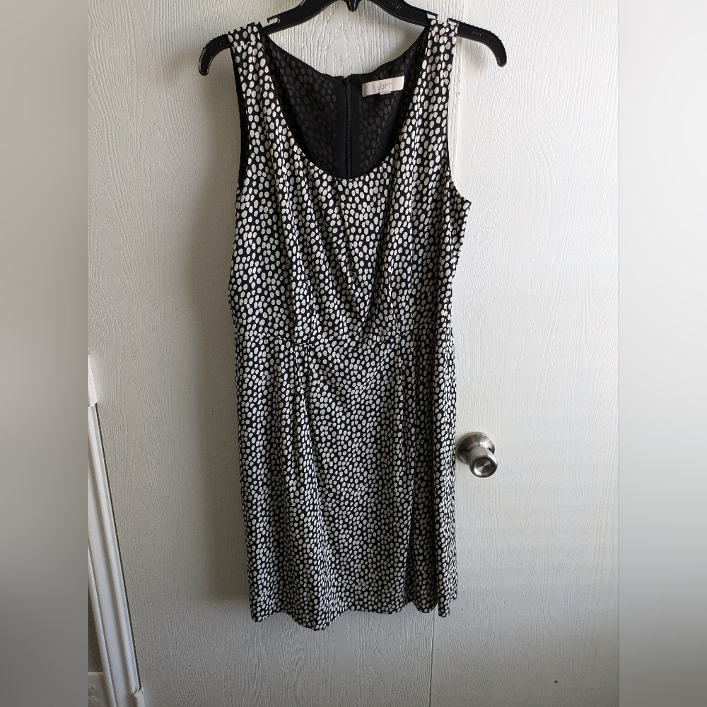 Loft Navy White Polka Dot Dress Size 14